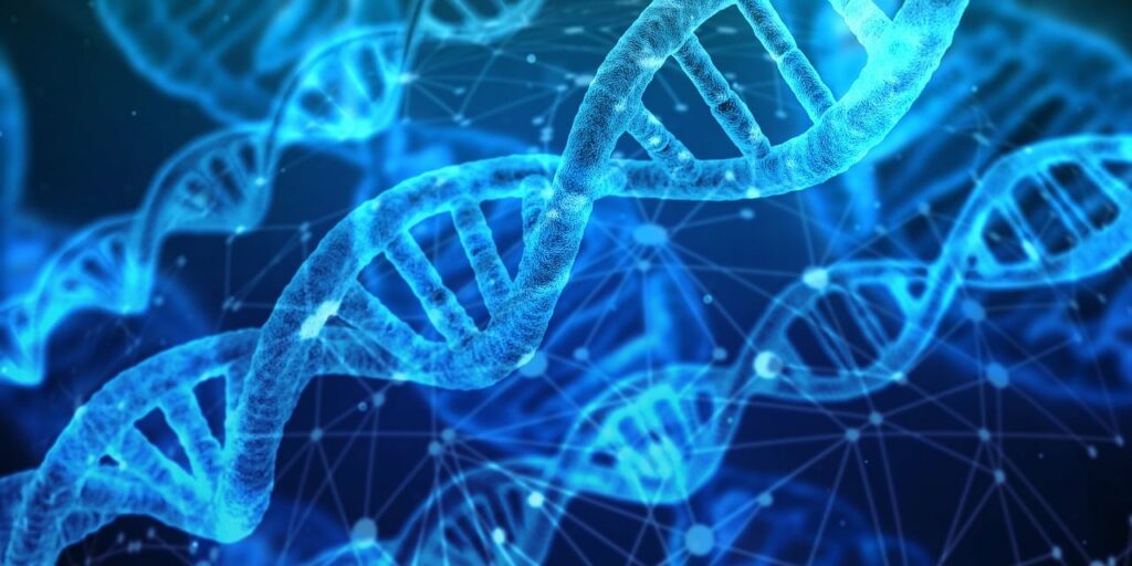 Picture representing DNA helices.